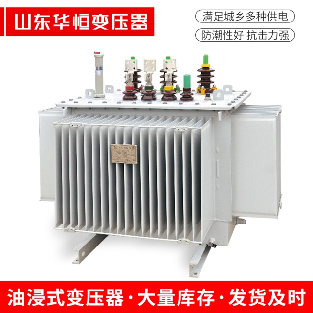 S13-10000/35新龙新龙新龙电力变压器