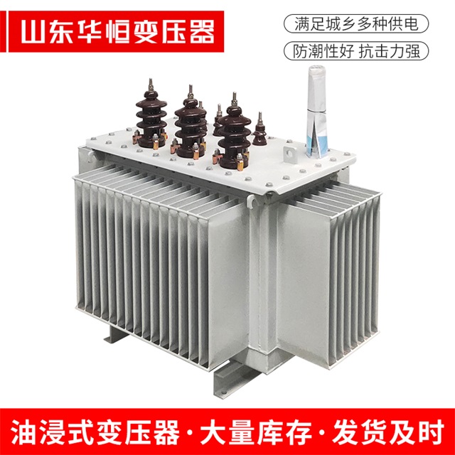 S13-10000/35新龙新龙新龙油浸式变压器厂家